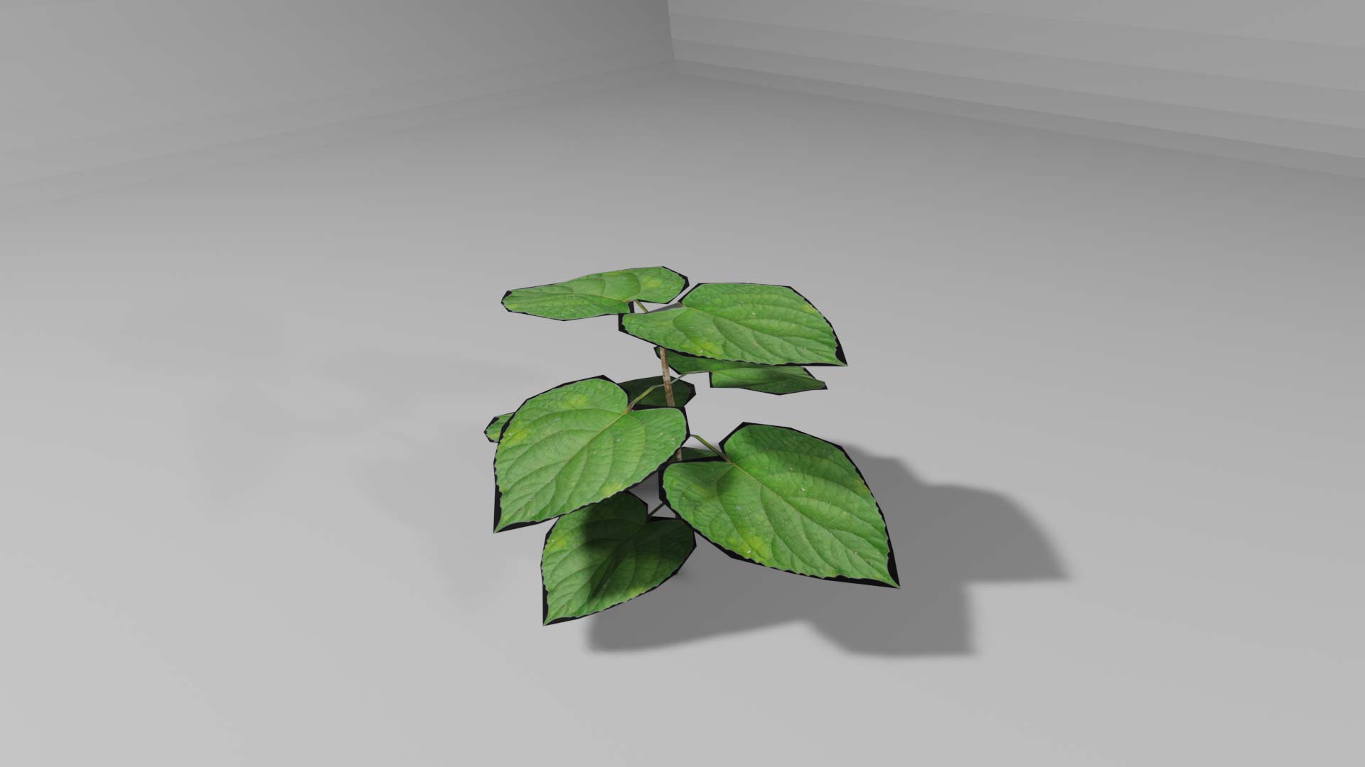 extra activity image